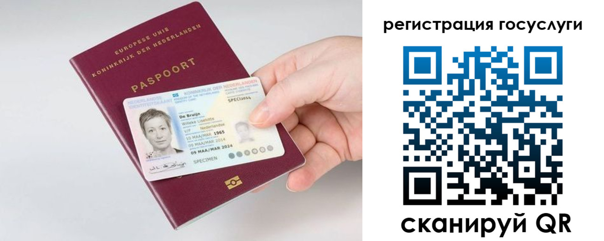 регистрация для дет. сада в Новоаннинском